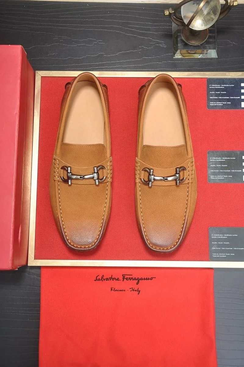 Cozy Ferragamo Shoes 14137