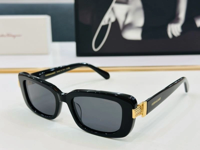 GoAnywhere Ferragamo Sunglasses 279343