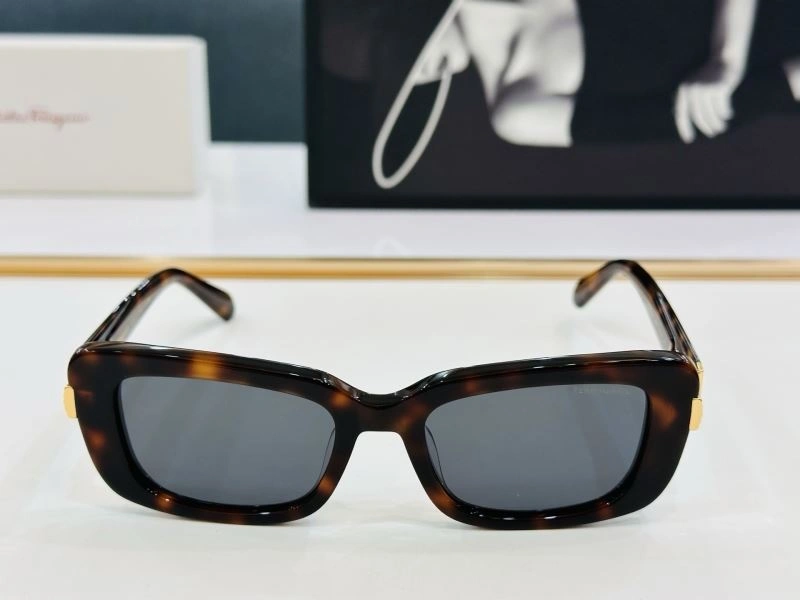 GoAnywhere Ferragamo Sunglasses 279343