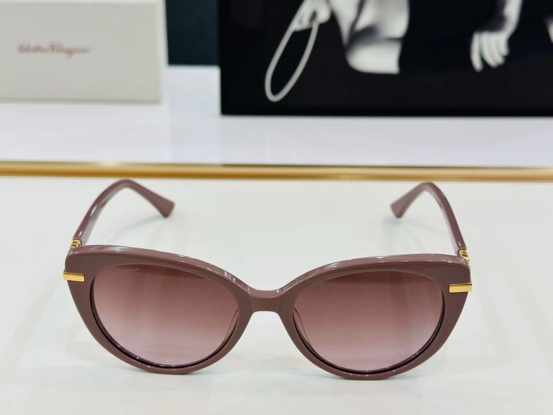 Contemporary Ferragamo Sunglasses 279337