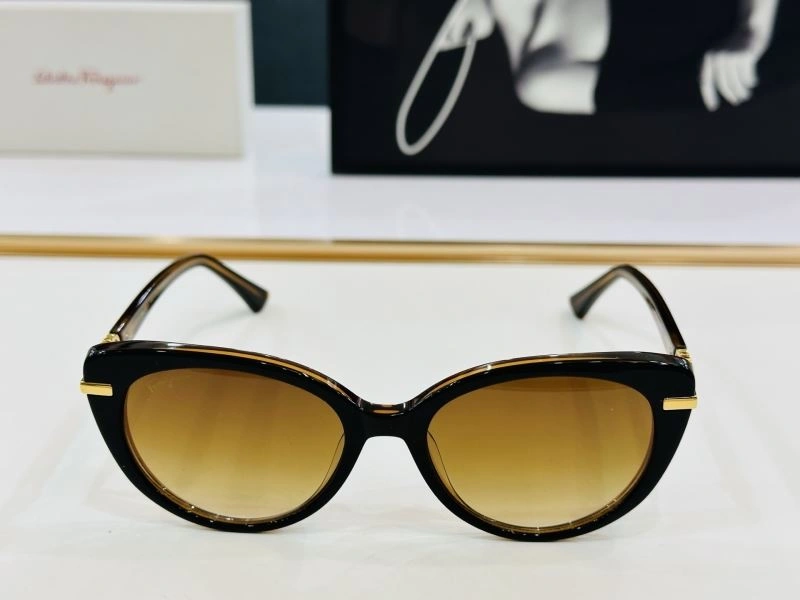 Contemporary Ferragamo Sunglasses 279337