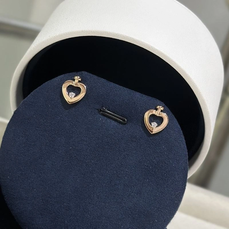 SmoothTexture Fred Earrings 212997