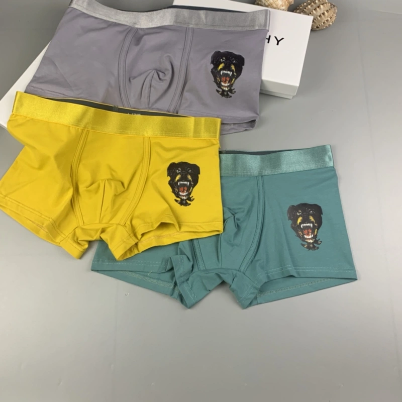 Givenchy Underwear Casual 276390