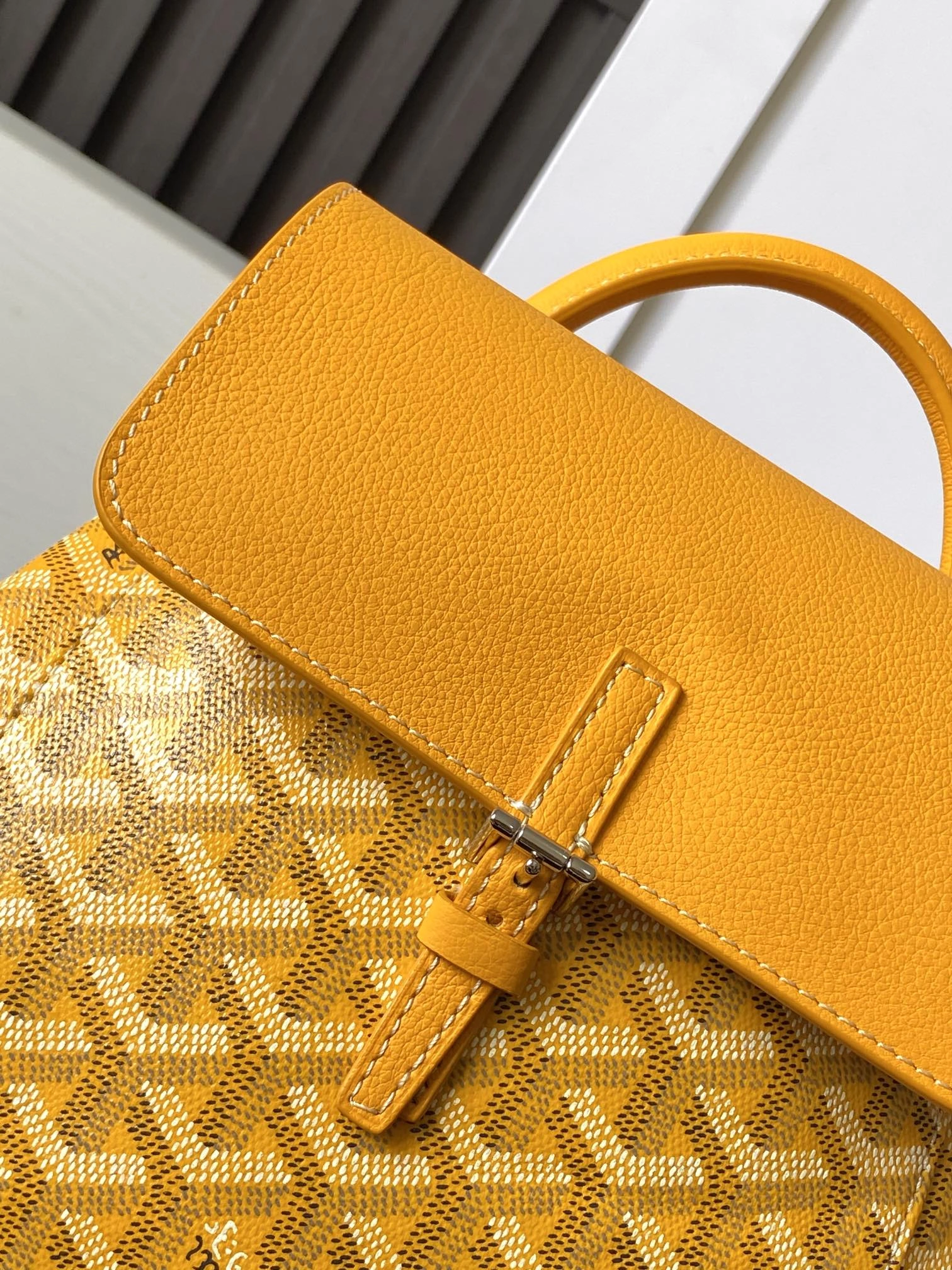 Goyard Backpacks SoftTouch 64995
