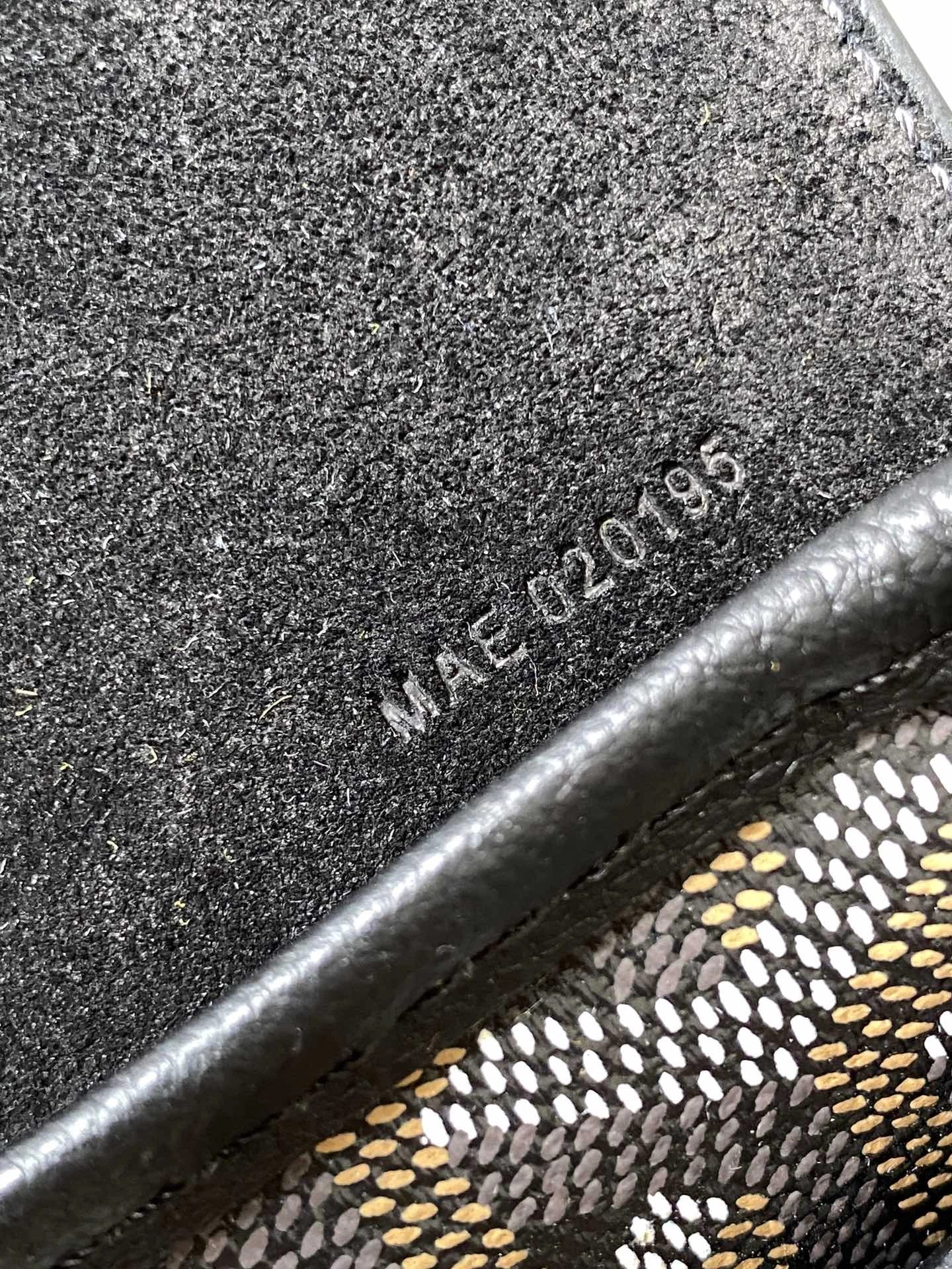 Goyard Backpacks Bright 64942