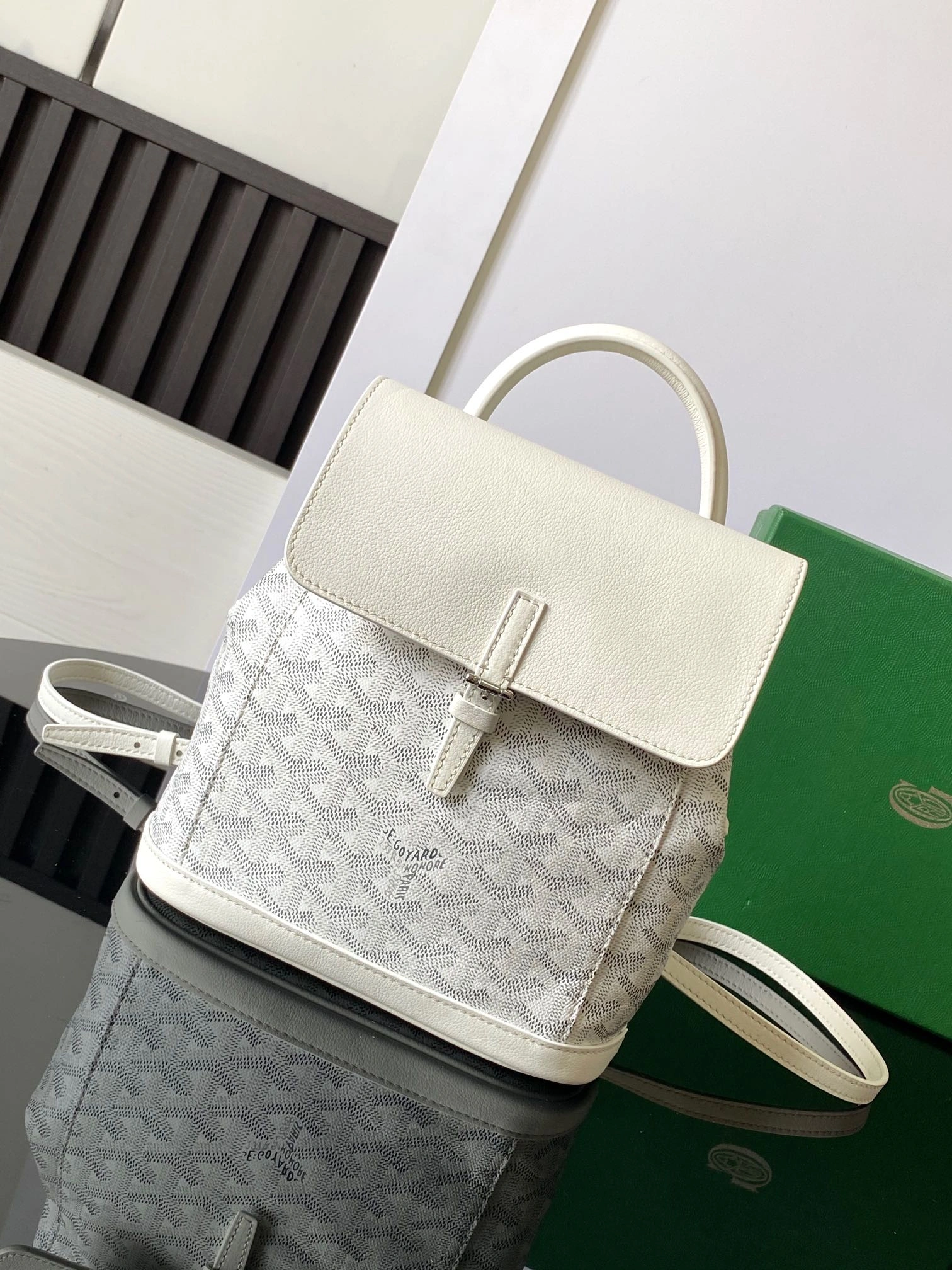 Goyard Backpacks Functional 64949