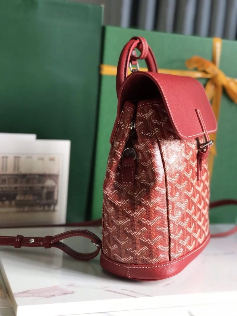 Goyard Backpacks Functional 62071