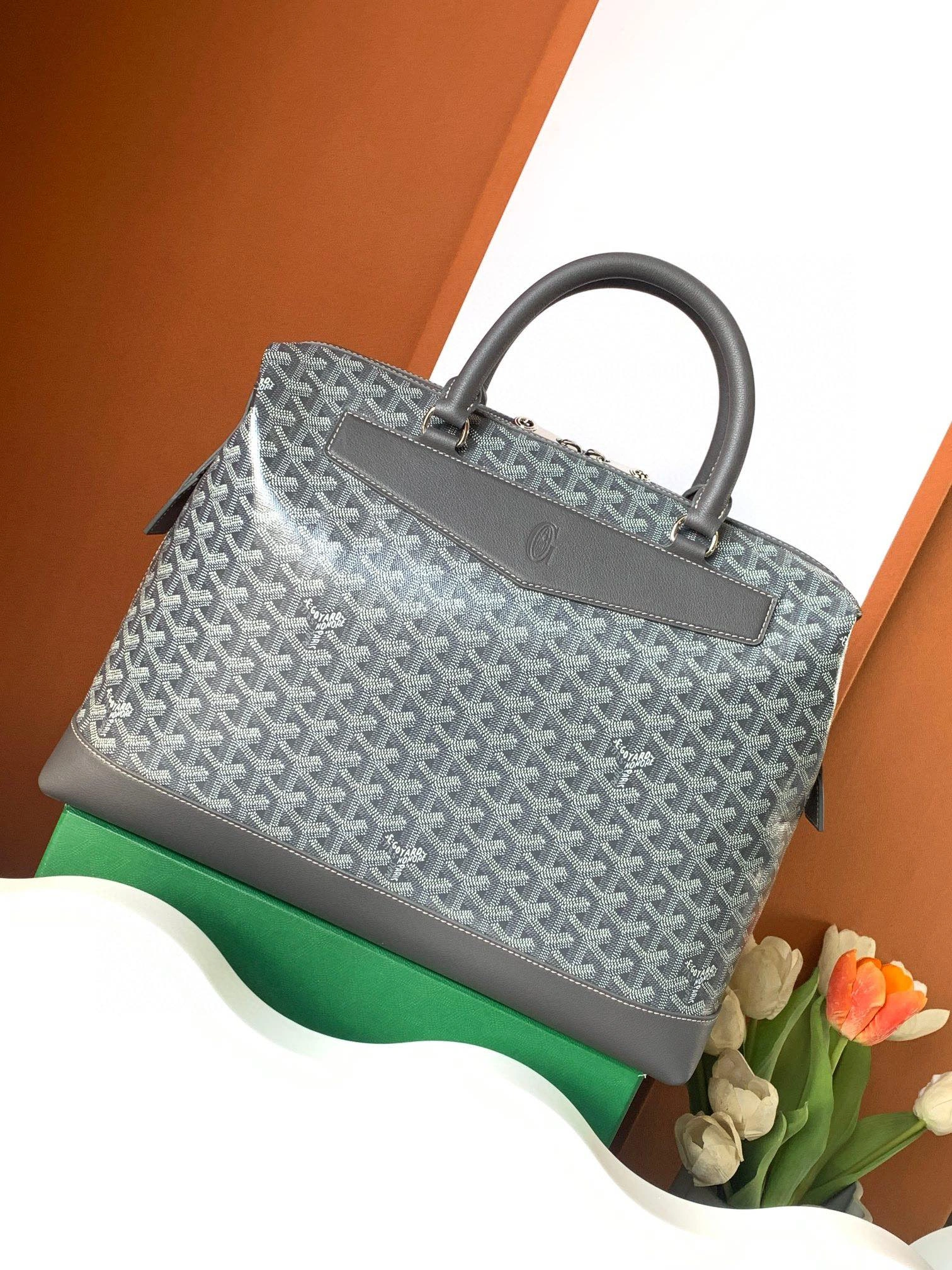 Goyard Briefcases WeatherProof 65110