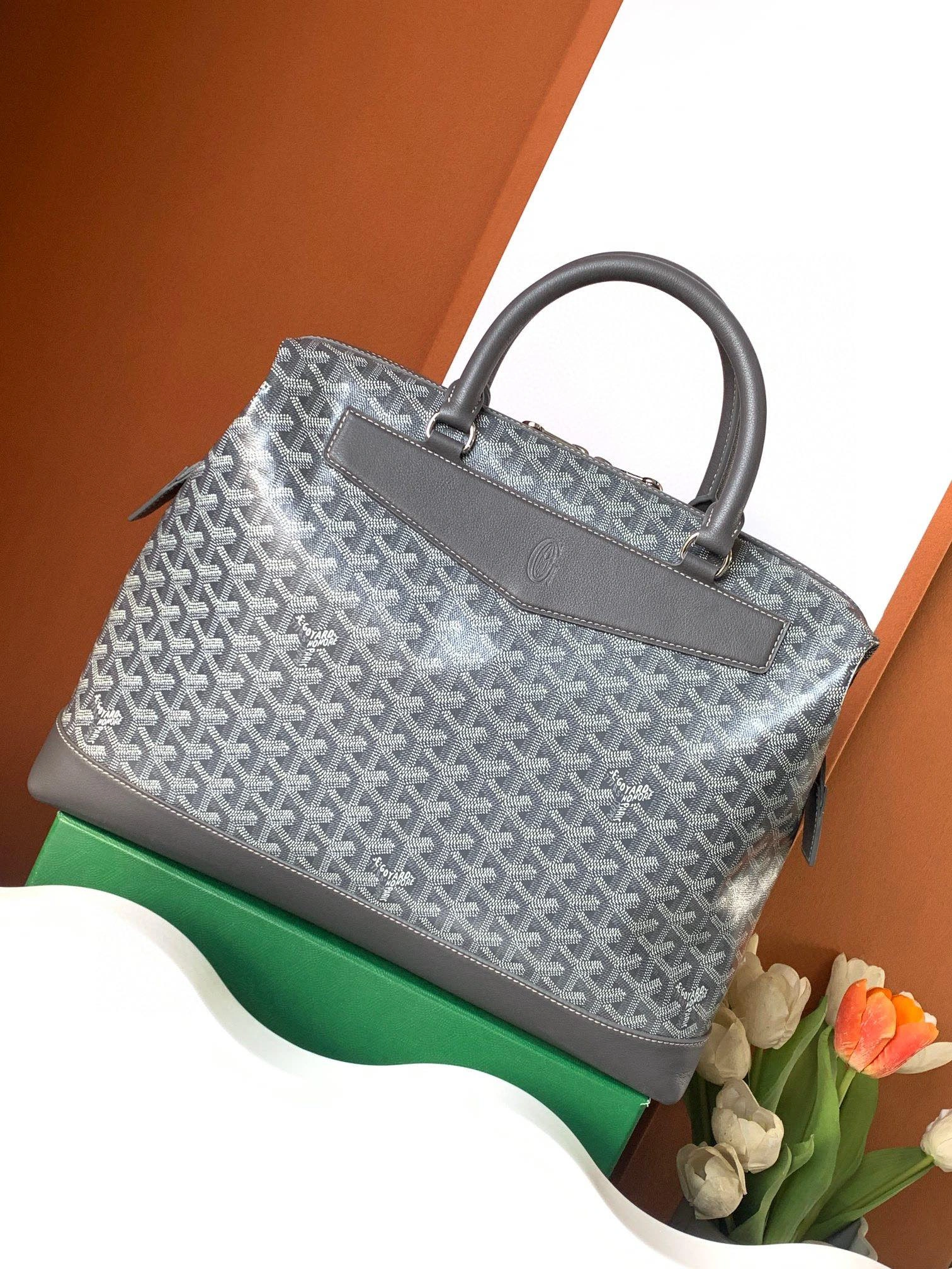 Goyard Briefcases WeatherProof 65110
