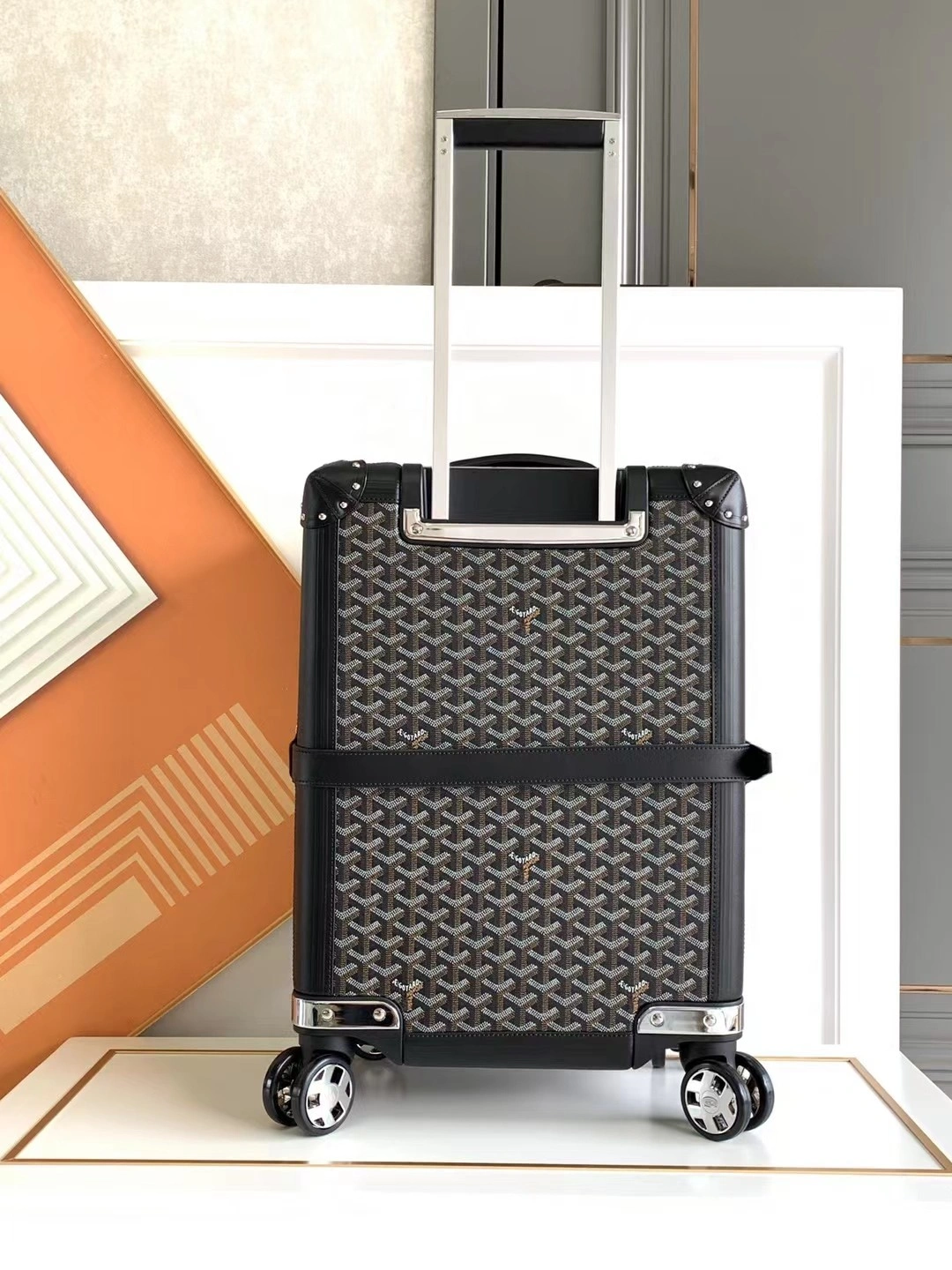 Goyard Suitcase Colorful 65047