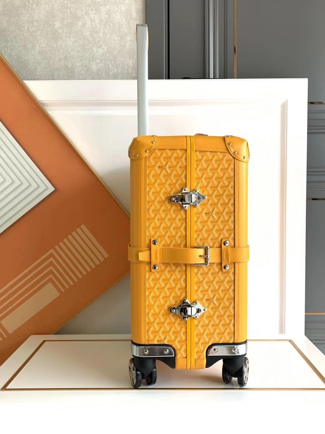 Goyard Suitcase Sustainable 65045