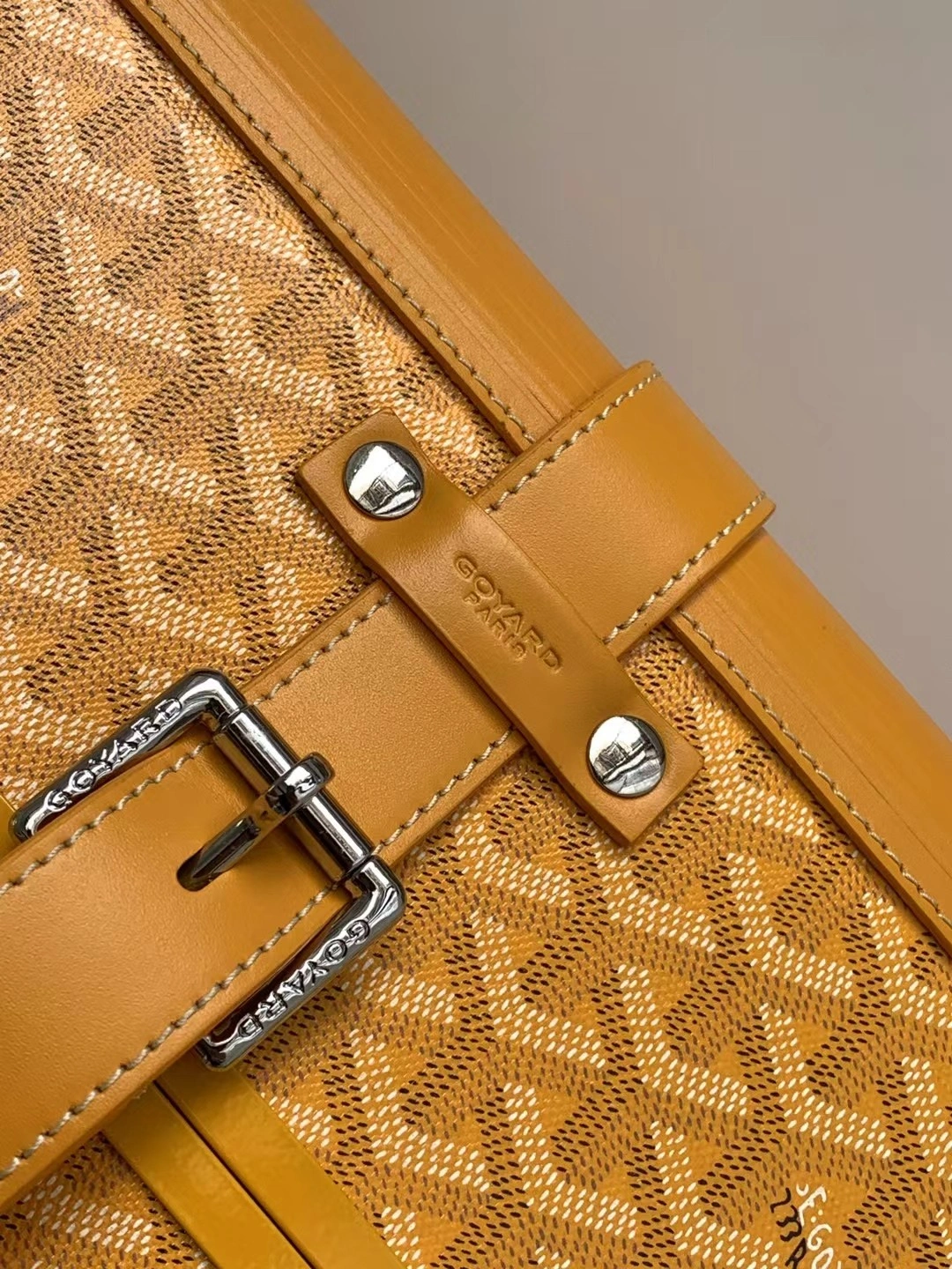 Goyard Suitcase Sustainable 65045
