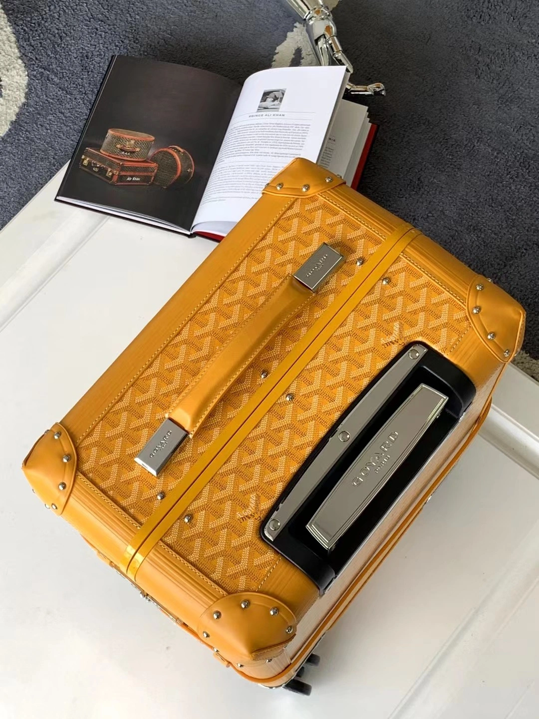 Goyard Suitcase Sustainable 65045