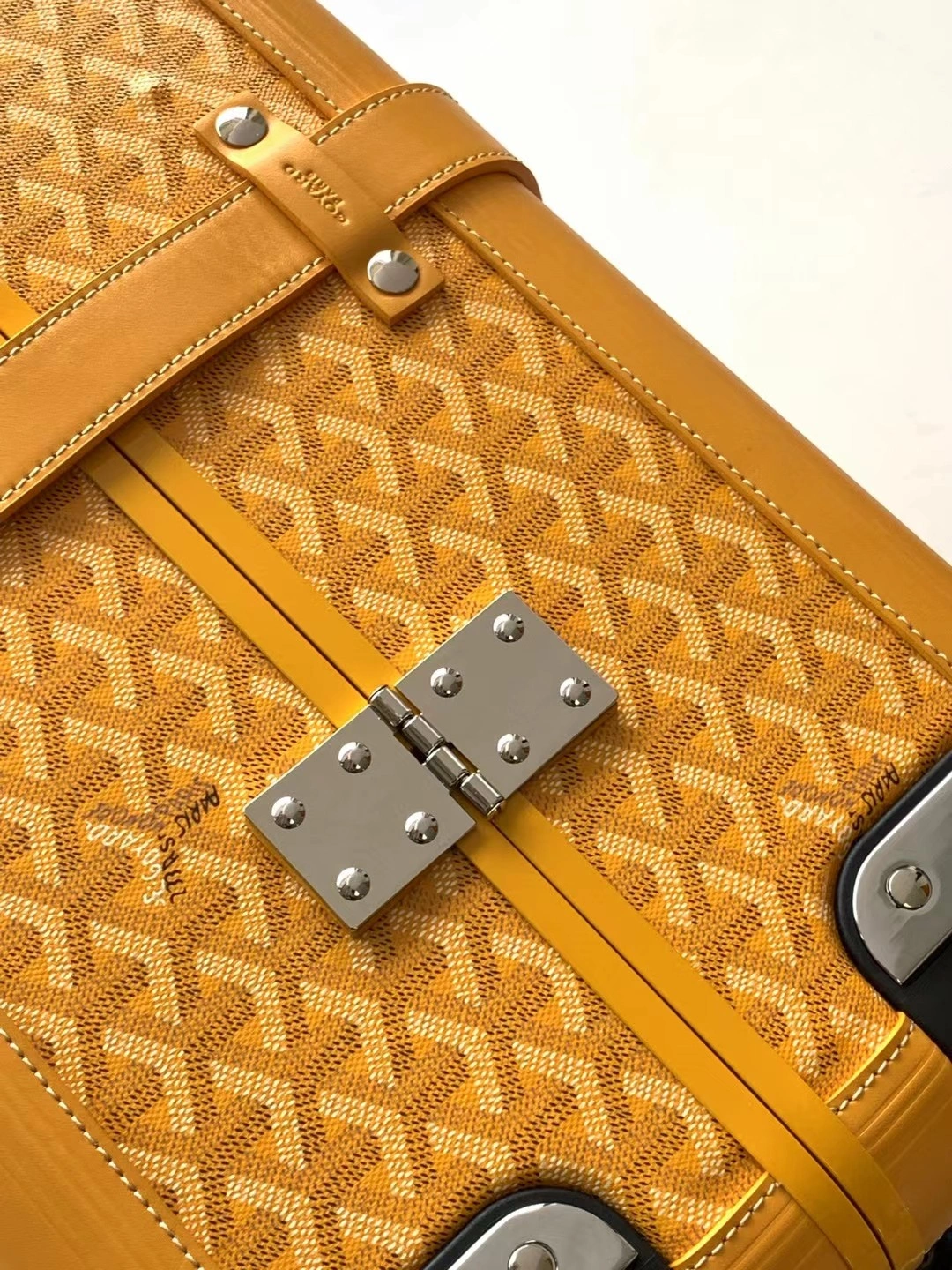 Goyard Suitcase Sustainable 65045