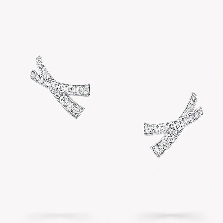 MultiPurpose Graff Earrings 213934