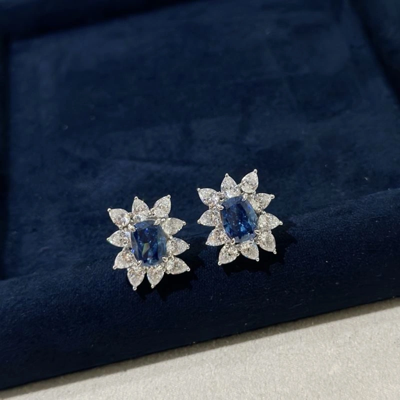 Graff Earrings Breathable 213935