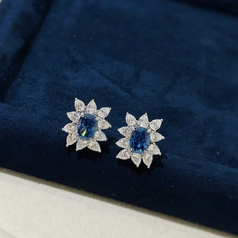 Graff Earrings Breathable 213935