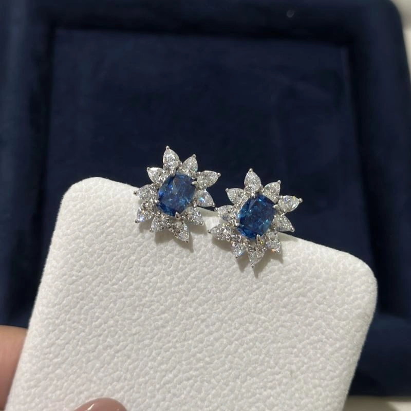 Graff Earrings Breathable 213935