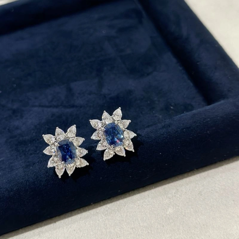 Graff Earrings Breathable 213935