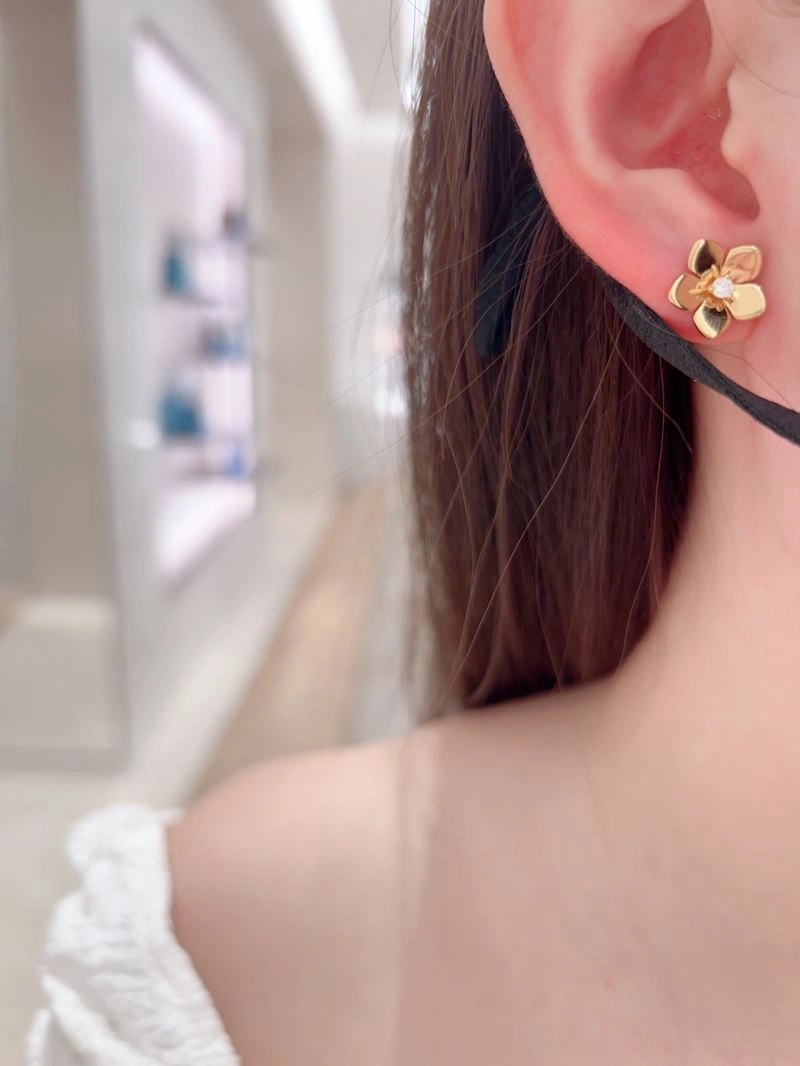 Casual Graff Earrings 213484