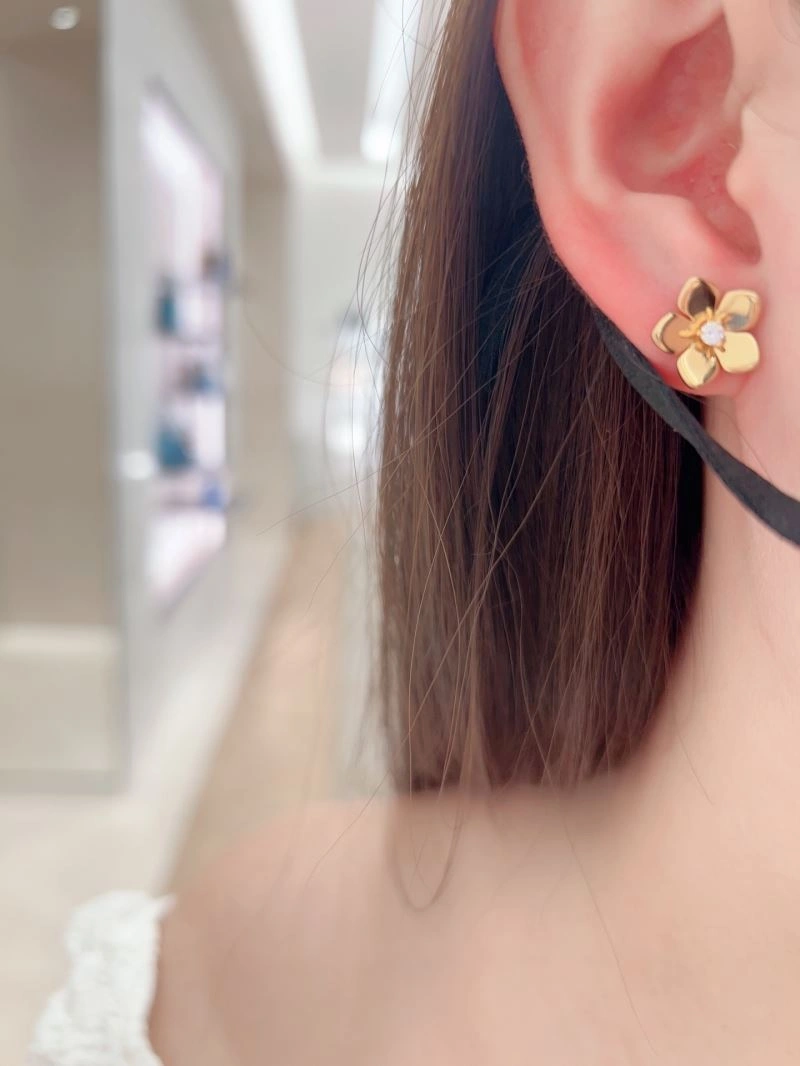 Casual Graff Earrings 213484