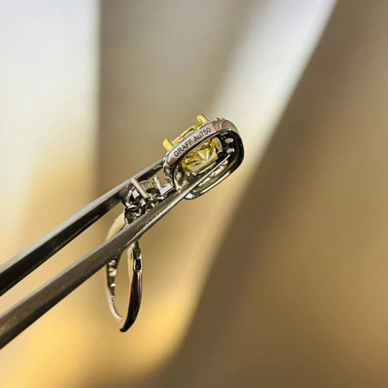 Graff Earrings Durable 214566