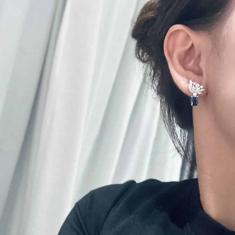 SoftTouch Graff Earrings 214215