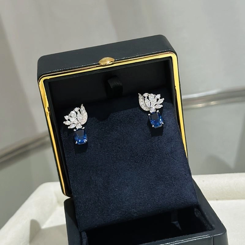 SoftTouch Graff Earrings 214215