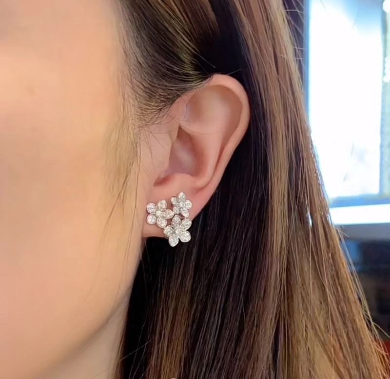 Graff Earrings Casual 212959