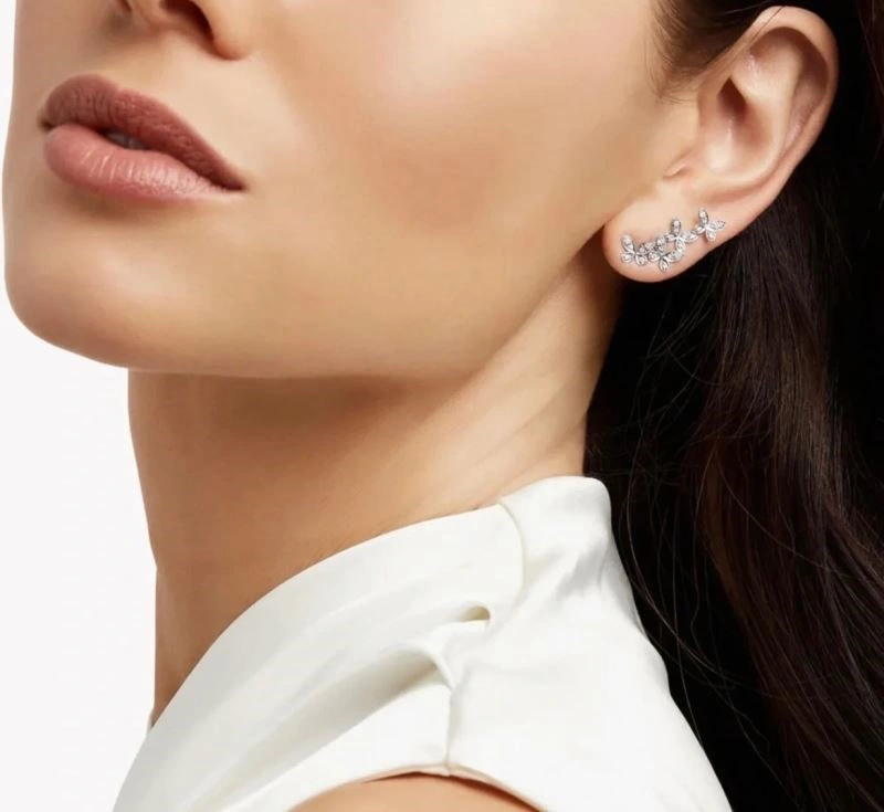 Graff Earrings SmartChoice 210670