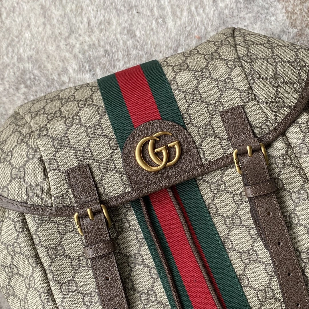 Vibrant Gucci Backpacks 72487