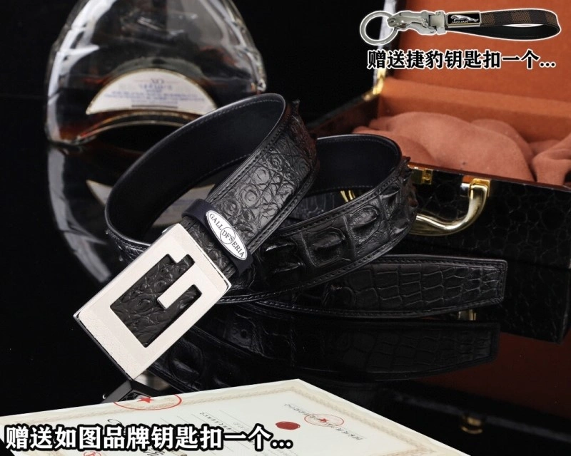 Gucci Belts EyeCatching 293328