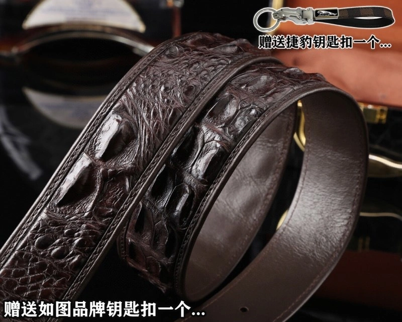 Gucci Belts EyeCatching 293328
