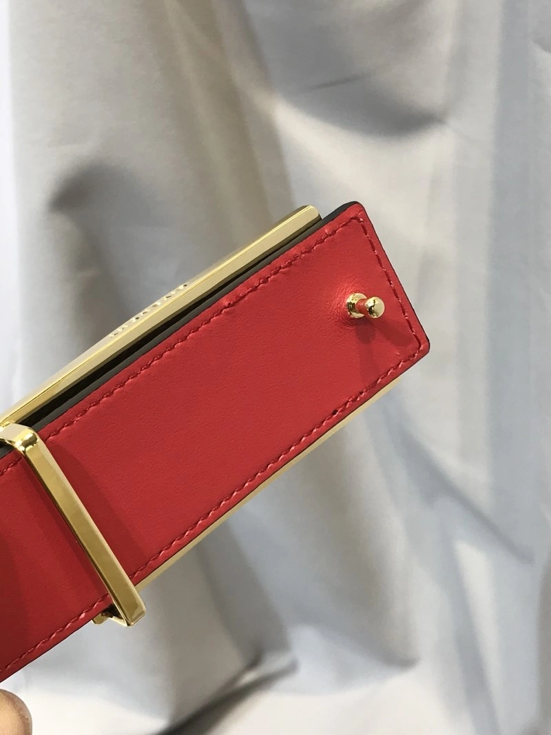 Gucci Belts Sporty 292836