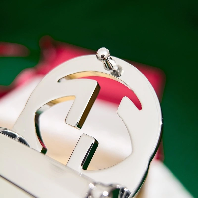 WellDesigned Gucci Belts 290101