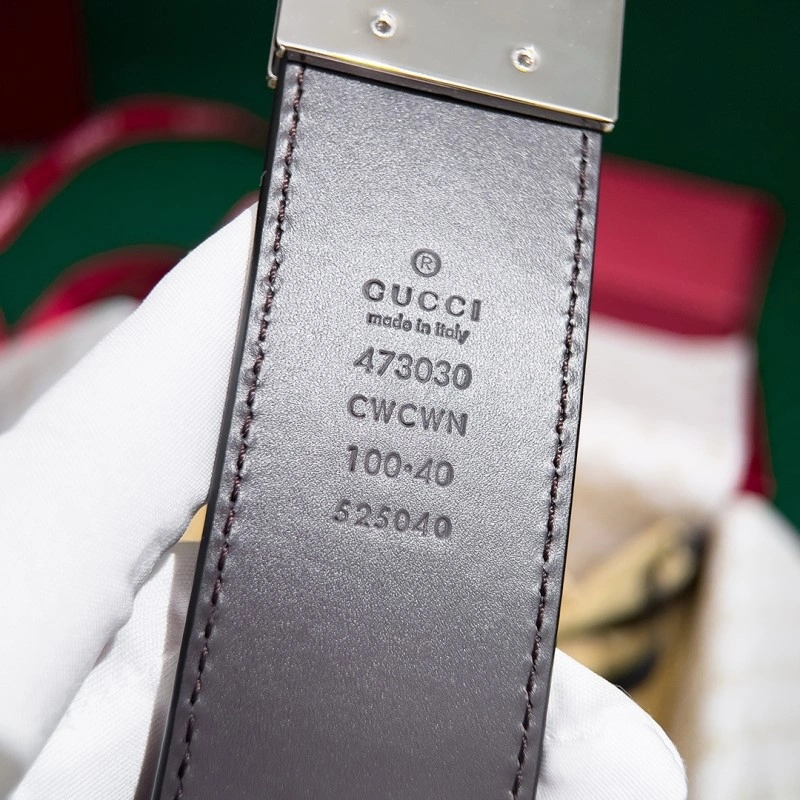 WellDesigned Gucci Belts 290101