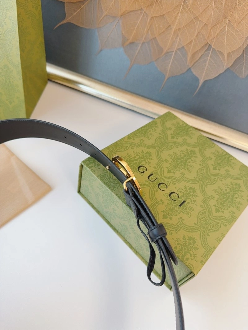 Gucci Belts WellDesigned 289676
