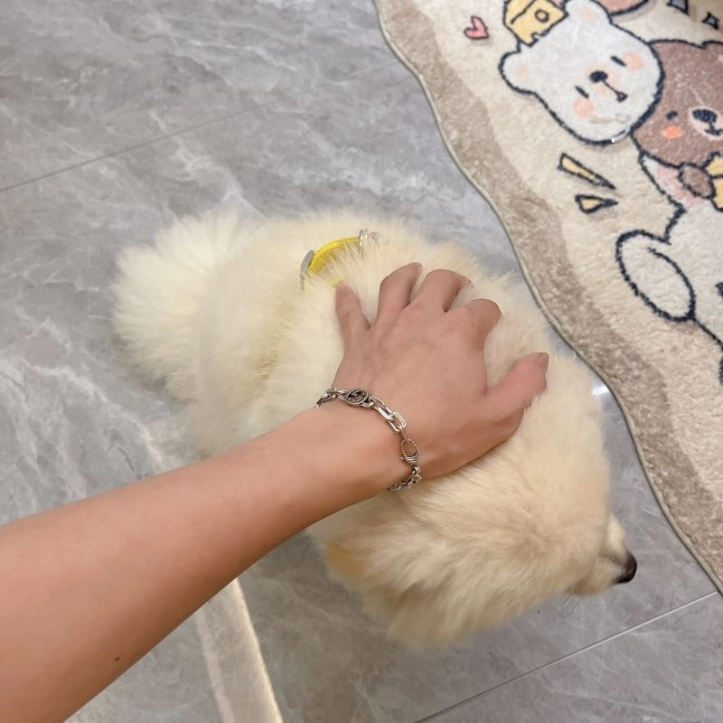 Comfortable Gucci Bracelets 246656
