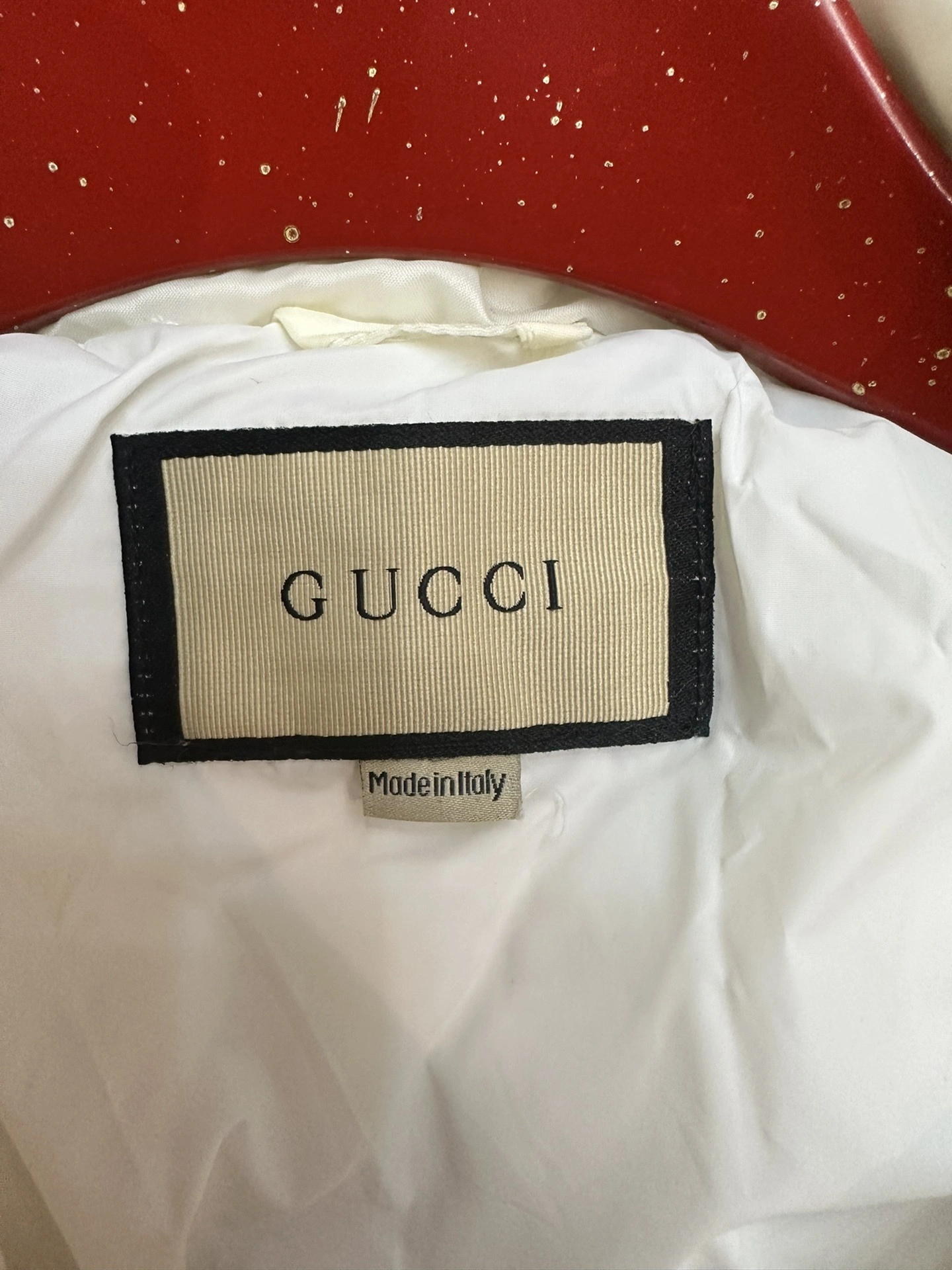 Minimalist Gucci Down Jackets 129119