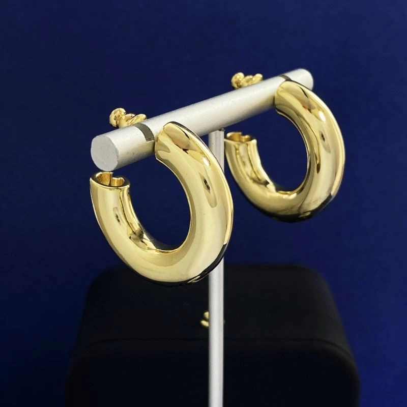 Gucci Earrings BestValue 245663