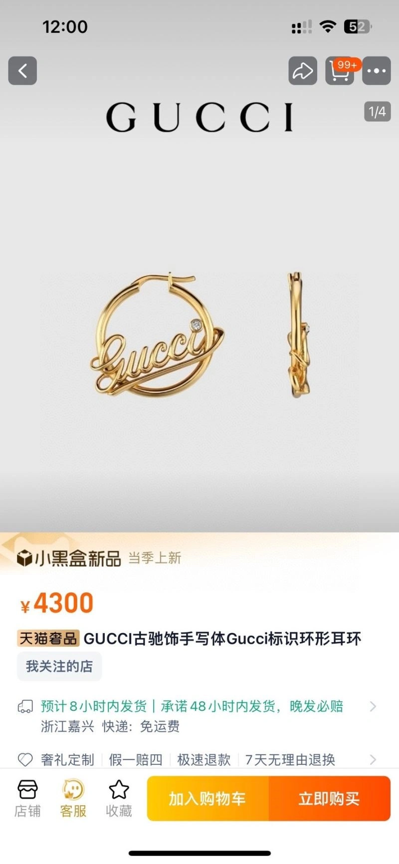 Sleek Gucci Earrings 244345