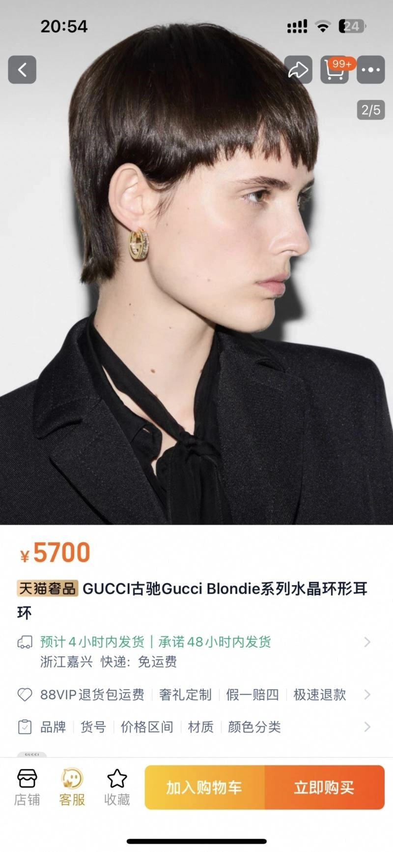 Gucci Earrings Snug 244312