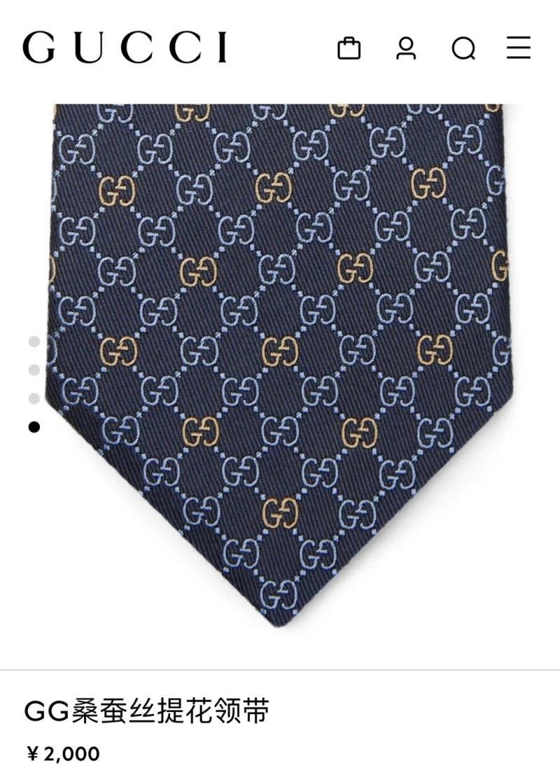 Gucci Neckties Minimalist 268869