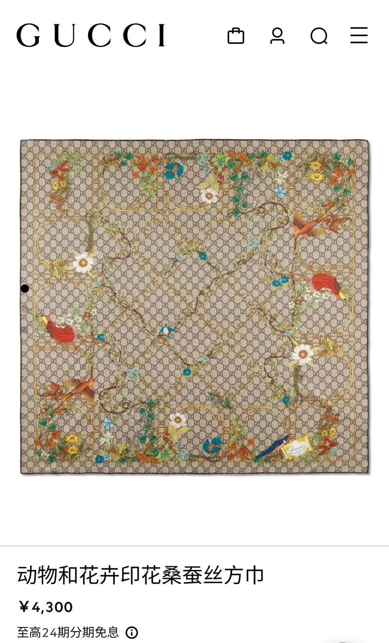 Gucci Scarf HighPerformance 271077