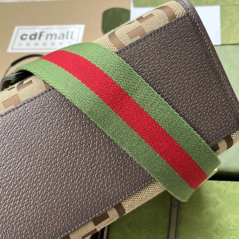 EyeCatching Gucci Shopping Bags 73465