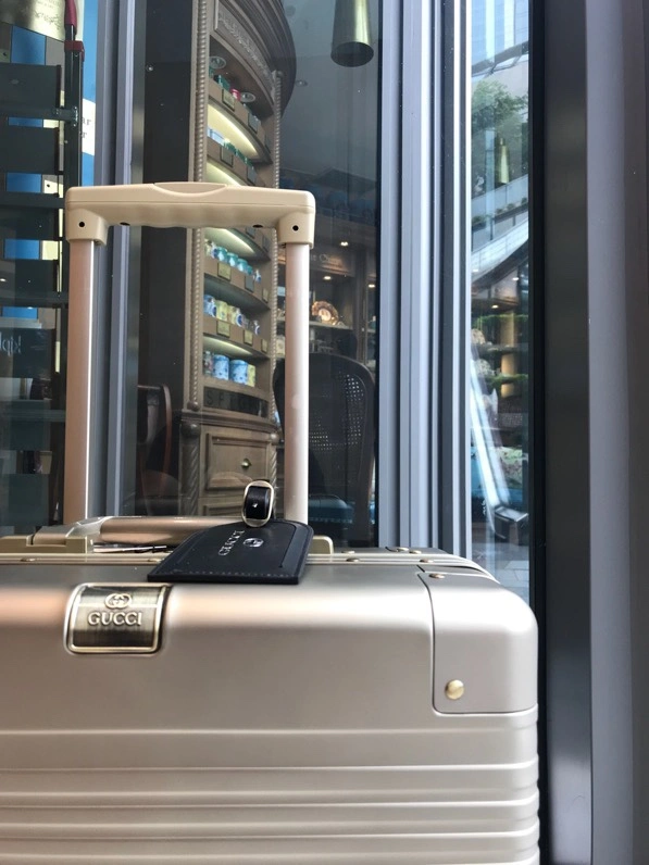Trendsetting Gucci Suitcase 69316