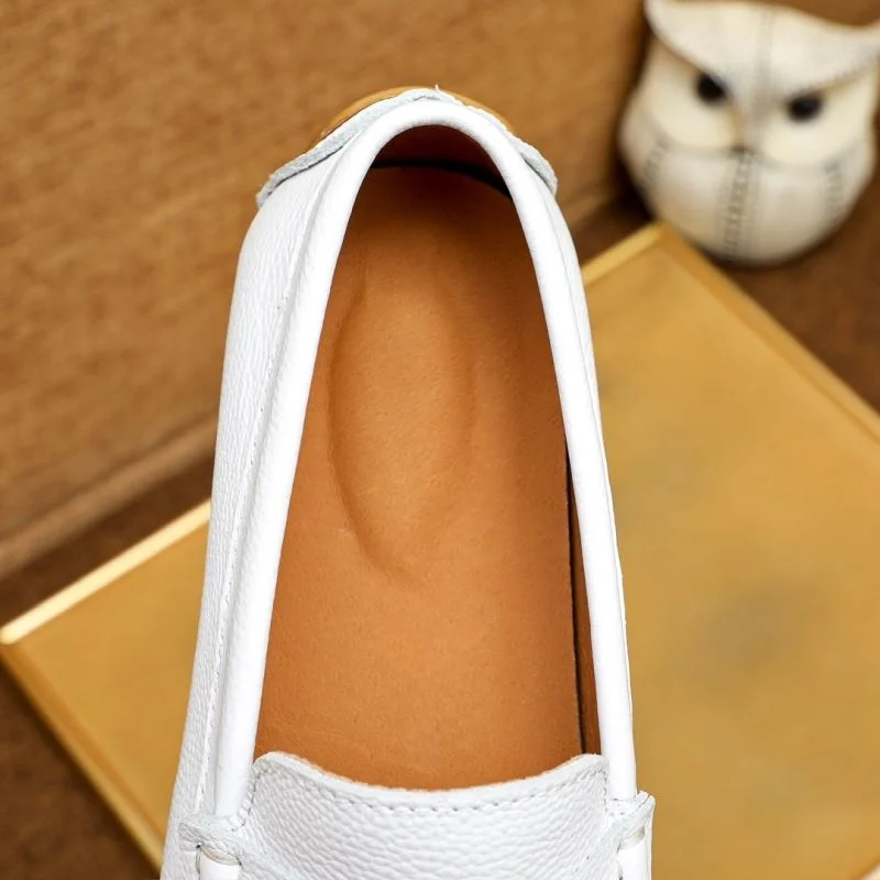 EasyCare Gucci Tods Shoes 23777