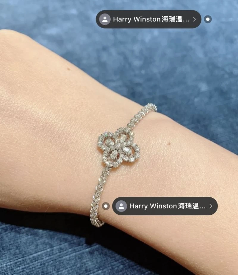 Harry Winston Bracelets Supportive 211979