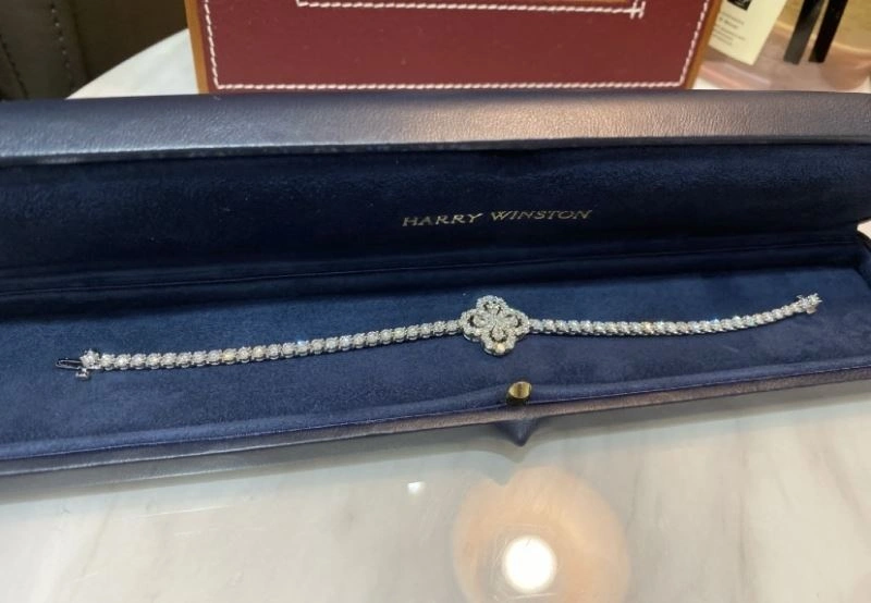 Harry Winston Bracelets Supportive 211979