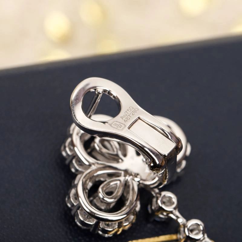 Resilient Harry Winston Earrings 213907